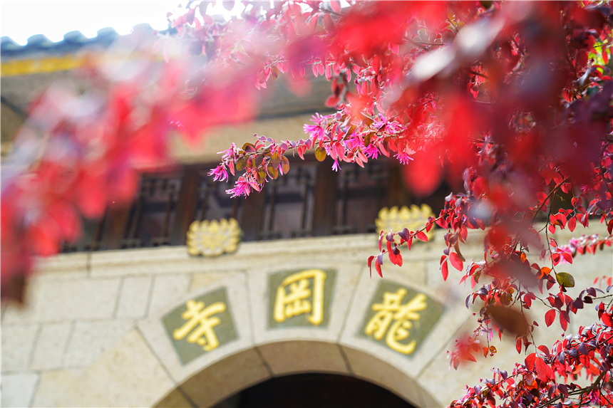 江南水乡旅游攻略四天三晚,温州旅行攻略四天三夜