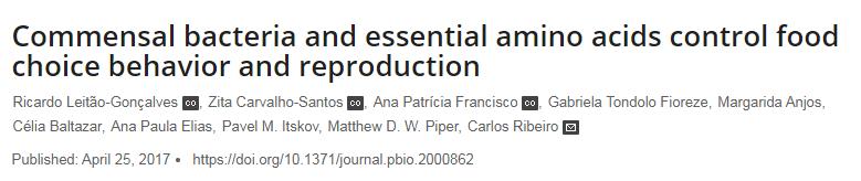 嘴馋老是想吃东西吃什么好,老是嘴馋要怎么抑制食欲