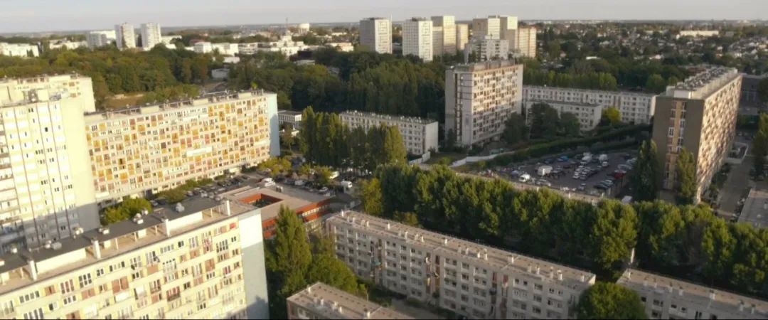 法国种族问题,法国种族问题的现状