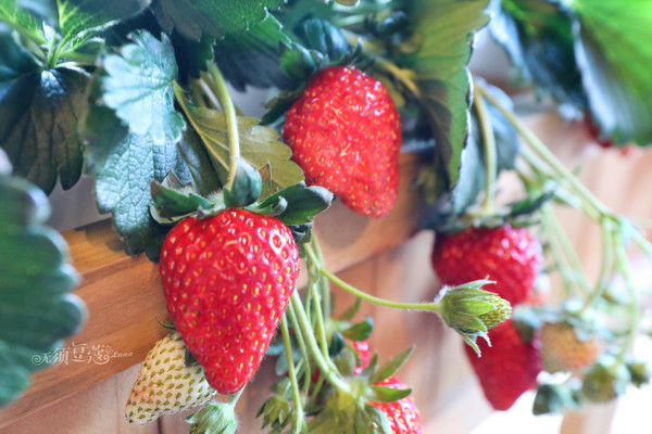 冬日乐趣排行,东京冬季旅游攻略一日游