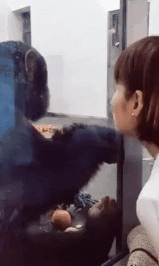 gif搞笑动图大全幽默瞬间,搞笑gif动图步骤