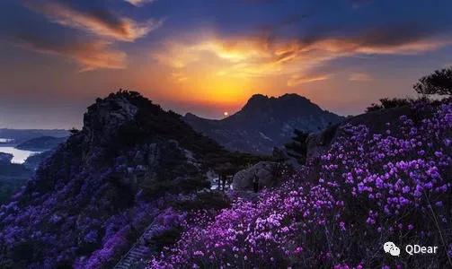 青岛景点春节免费开放通知,青岛六十岁老人去哪些景点免费