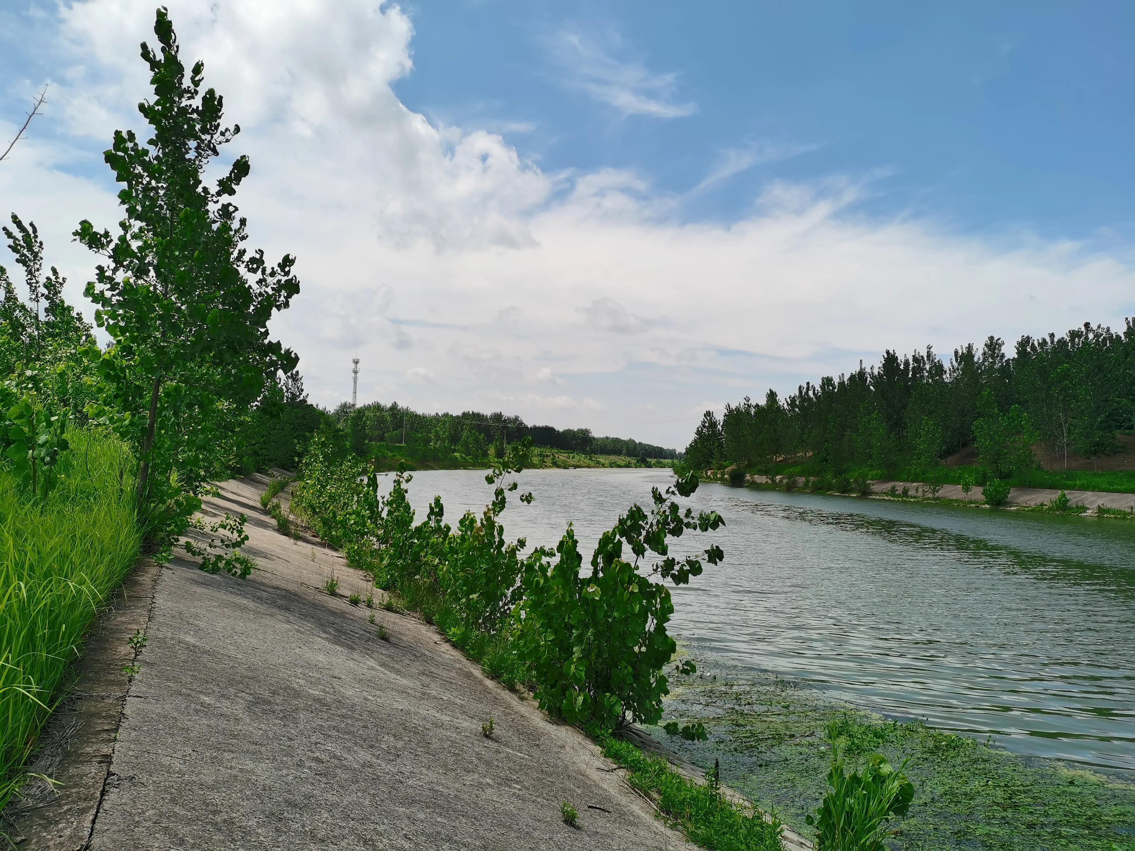 新手入门矶钓禧玛诺纺车轮推荐,矶钓新手入门教学视频