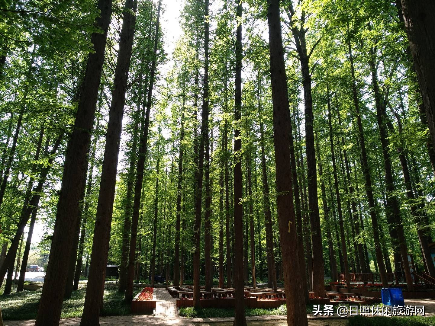 自驾日照旅游攻略带什么,江苏带孩子去日照旅游攻略