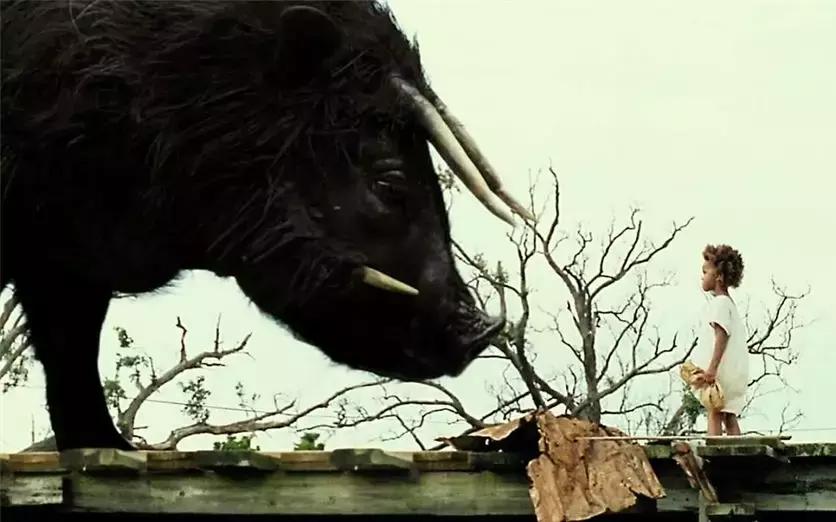 8部惊险的求生电影，换我活不过片头