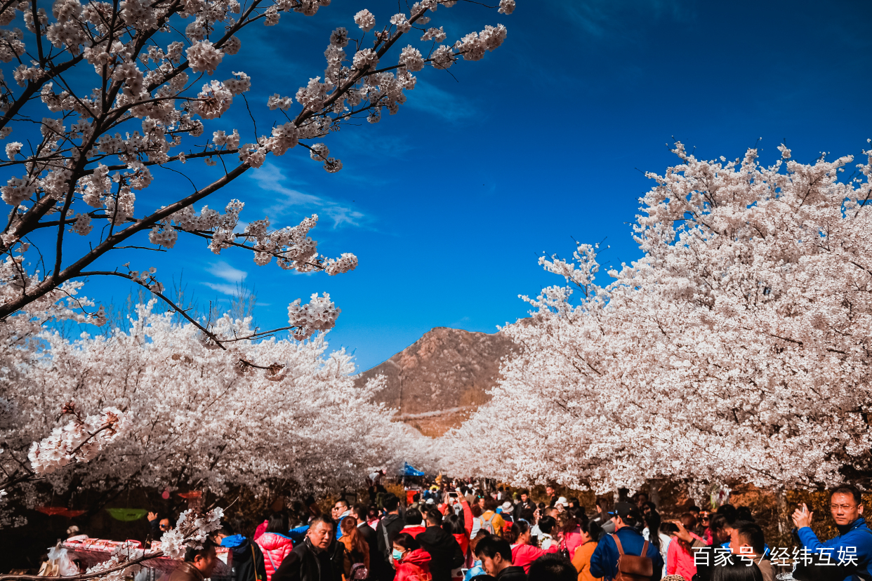 邹平附近好玩的地方,邹平过年好玩的地方