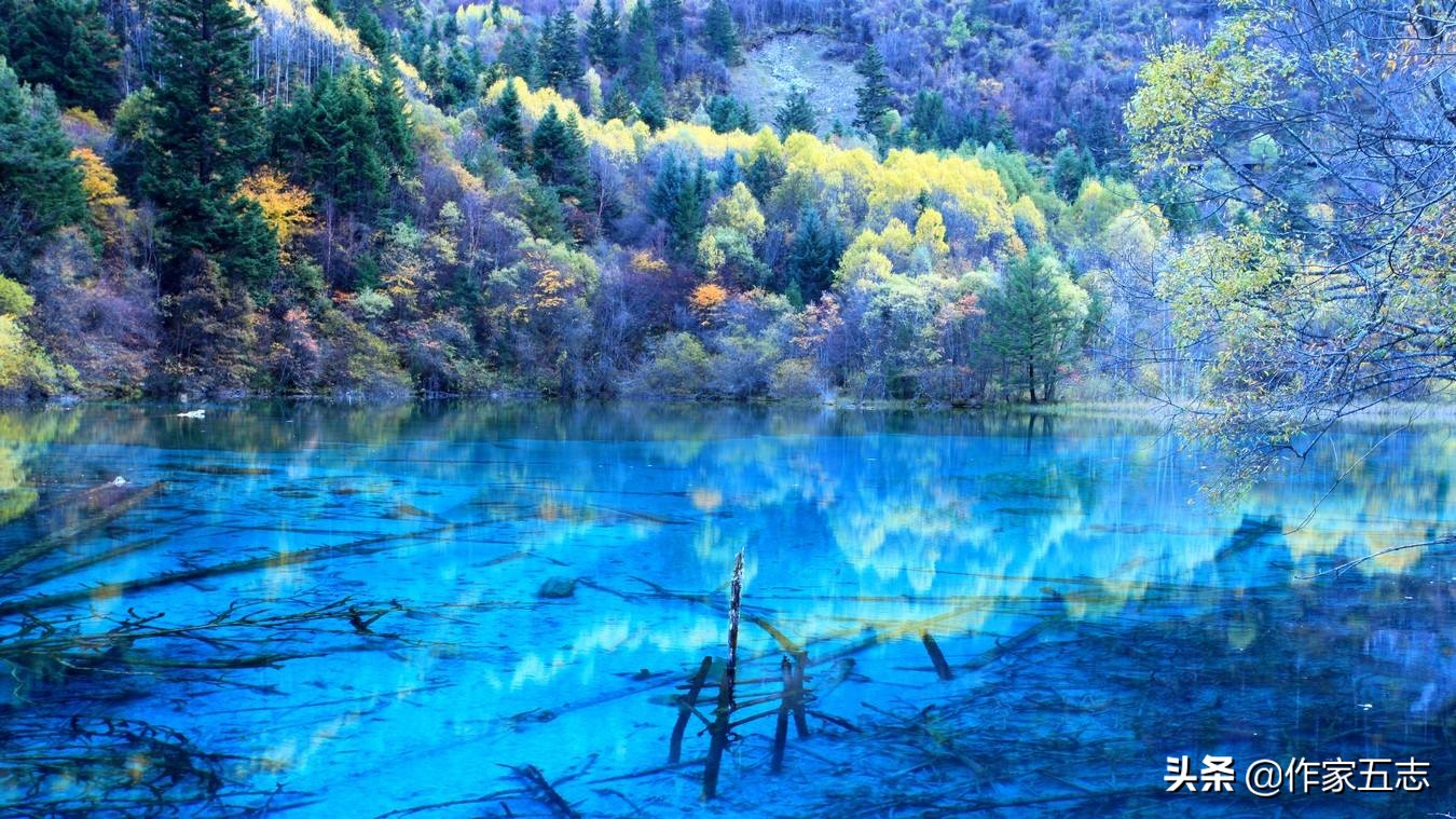 四川姑娘为什么都漂亮,四川妹子怎么那么漂亮