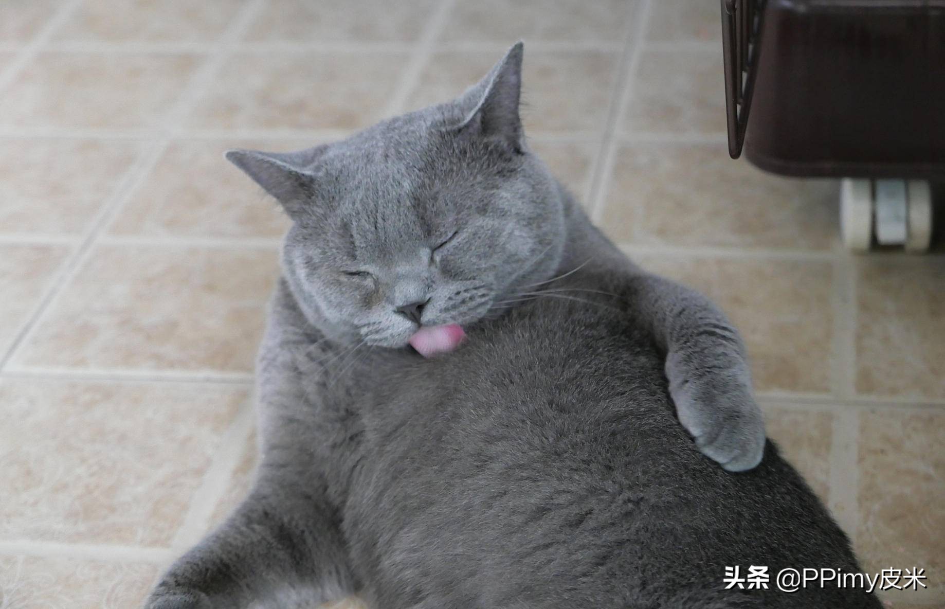 松下相机lx100m2使用感受,松下lx100m2相机官方标配版开箱