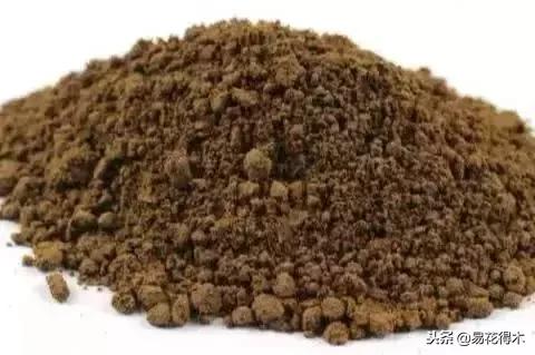 生桩的种植方法和技巧,生桩用什么土栽种最好