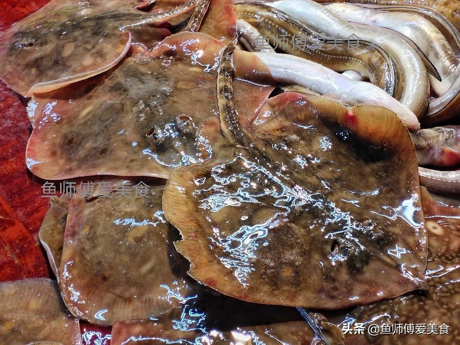 春季野生海鱼,应季野生海鱼