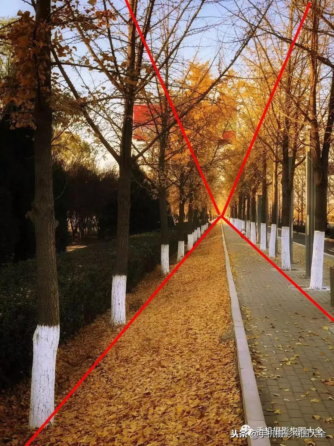 手机摄影怎么拍出好看的景色,手机如何拍出低调的摄影照片