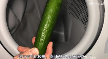 自动猫砂盆把猫卡死,自动猫砂盆把猫夹死了