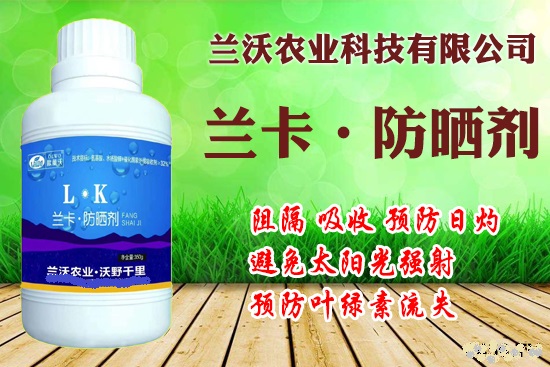 高温对作物危害和防御措施,防晒防高温措施