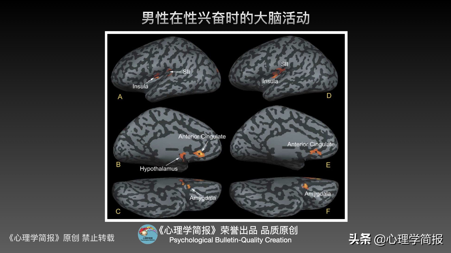 男人性心理机制｜意大利心理学家：是否有生理反应属大脑不同活动