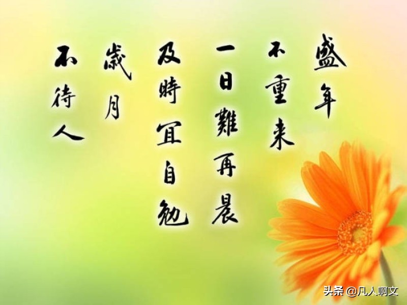 身边没有什么朋友怎么办,没有一个朋友的人应该怎么办