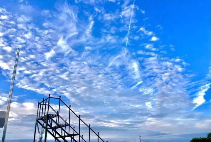 武汉32所重点小学大pk,武汉市十大美丽中学