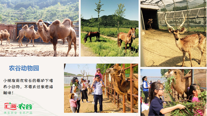 北京密云冬天游玩攻略,北京密云冬季游