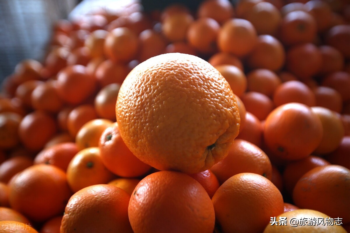 江西著名的景点和特产有哪些,江西的十大特产有什么