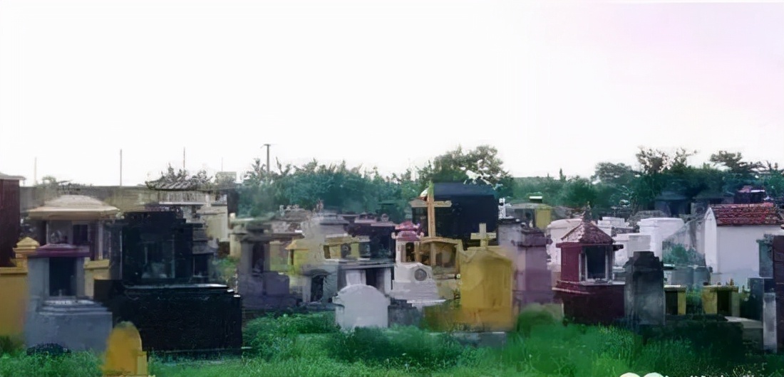 狼哥越南 (权哥带你了解越南)