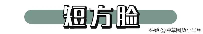 脸大中年女人方脸发型图片,脸大的超短发女生适合什么发型