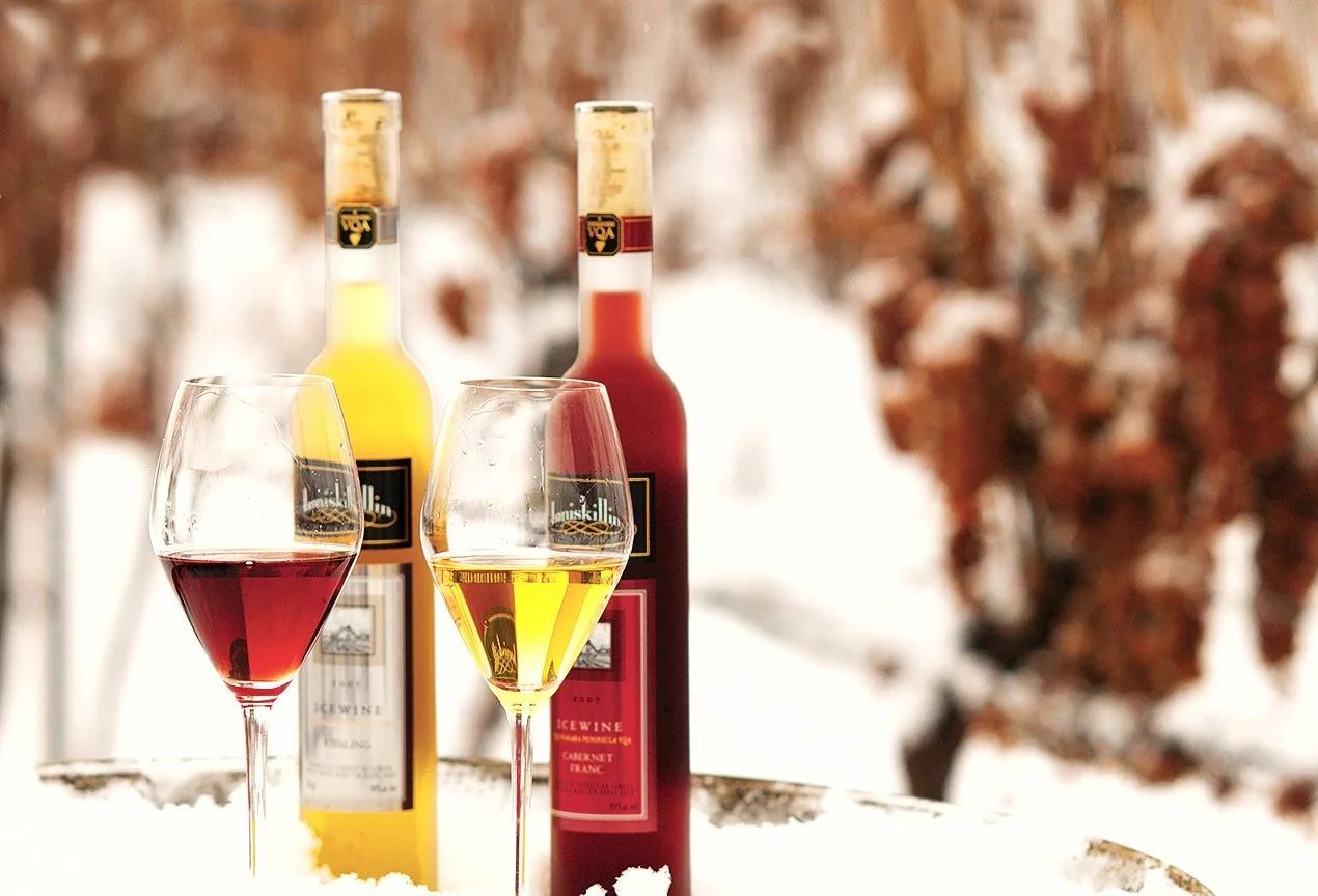 这个冬天去梦幻雪国,这个冬天来加拿大玩雪吧