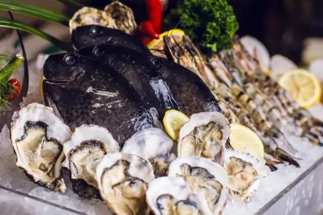 三亚海底酒店,三亚海底酒店海底套房