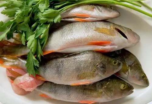 防城港市海鲜怎么挑,防城港海鲜扫货攻略附海鲜吃法