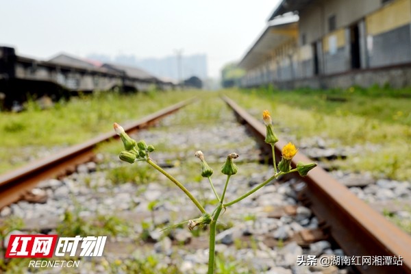 欧风墙外写着“抗日公约”你去过这座湘潭老火车站吗？（图）