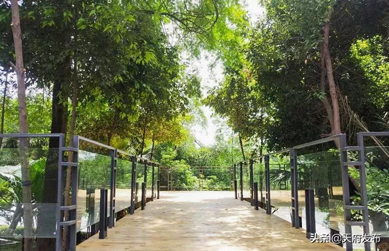 世警会准备什么,世警赛赛程2023