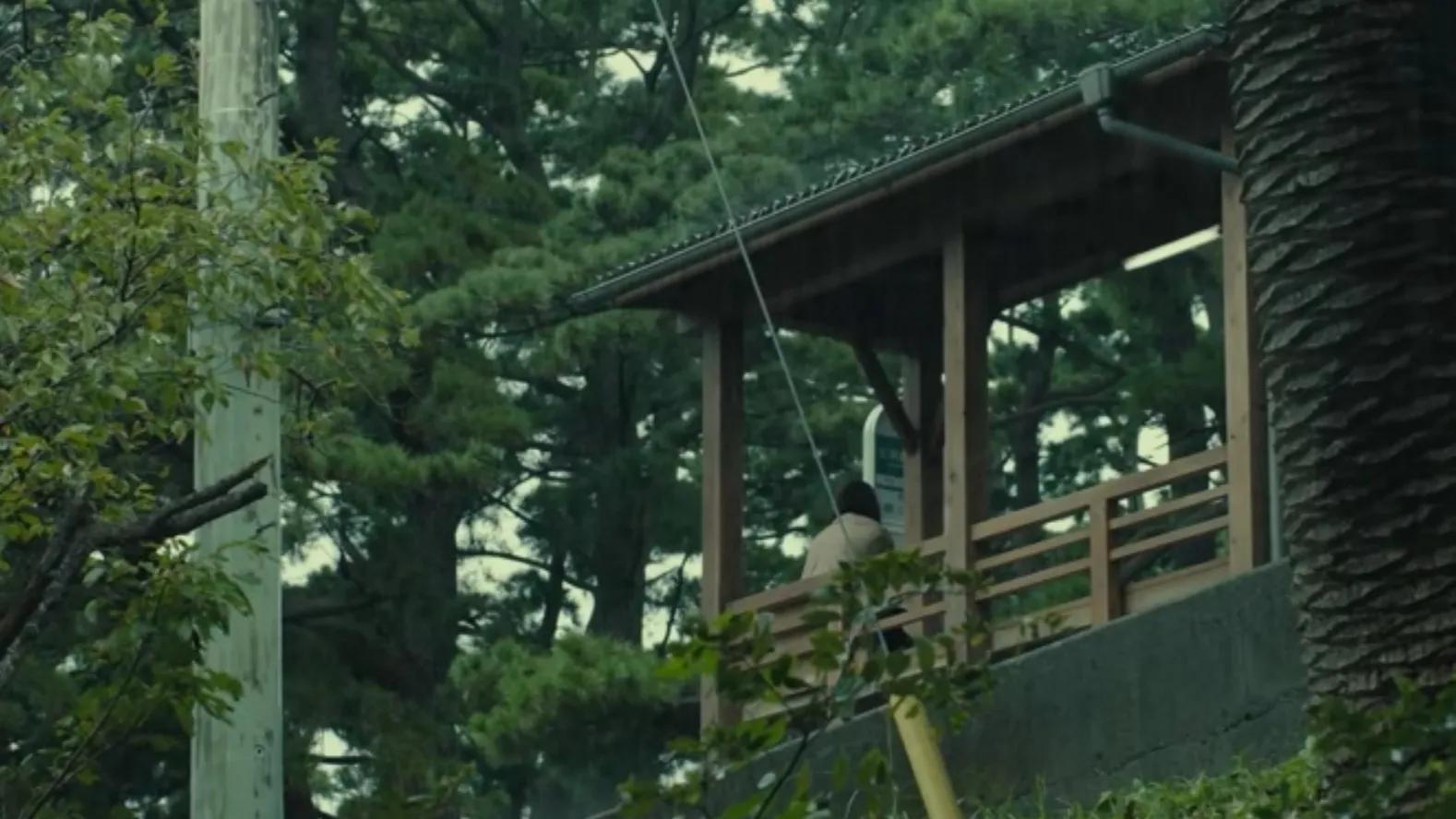 昼颜出轨理由,昼颜为什么不离婚非要出轨