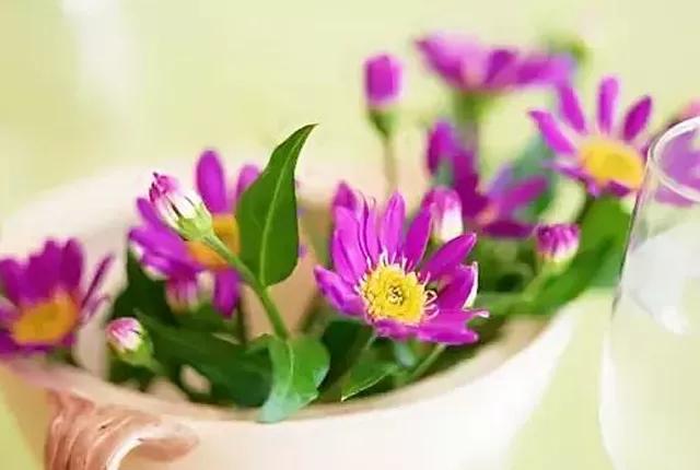 如何看待网络拉票,关于网络拉票的看法