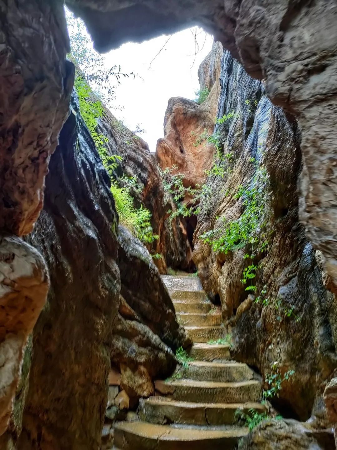 大连金石园奇石名称,大连市金石园