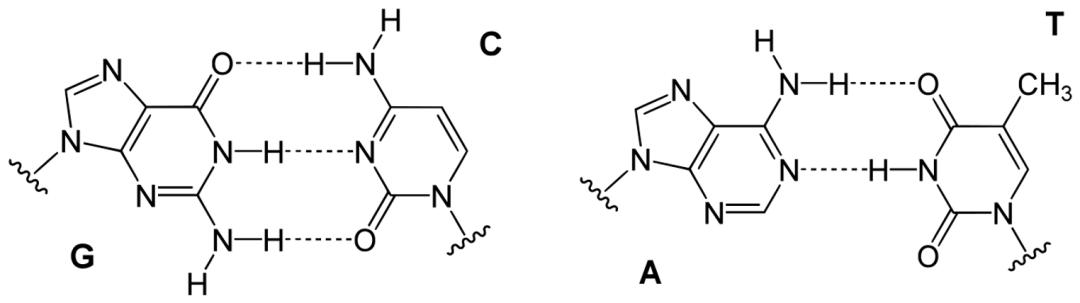 病毒变异那么快会不会自己变异死,现在病毒变异成什么东西