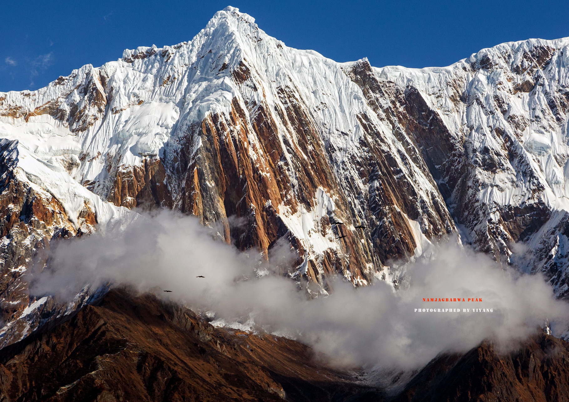 拍马有什么讲究,拍马的正确玩法