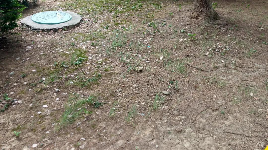 中房和万科物业哪个好,中房物业vs金佳物业