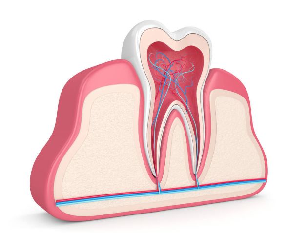 如何使黄牙齿变白的简单方法,牙齿黄怎么办变白小妙招视频