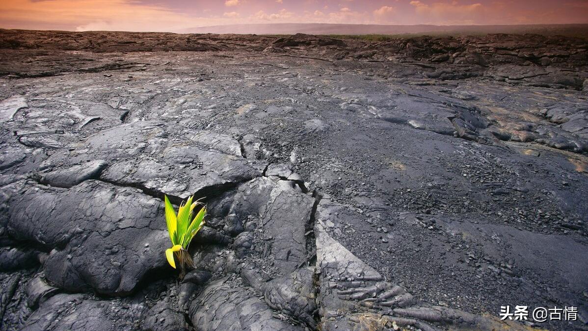 所有的困难其实都是为了让你成长,每一次的困难都会让自己成长