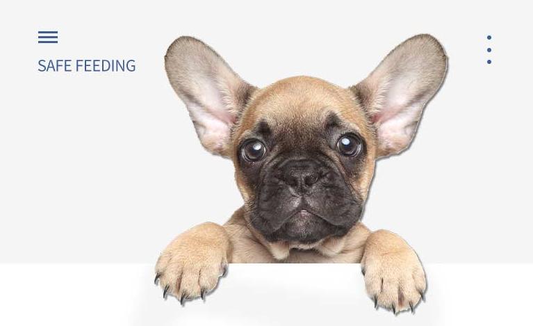 双十一狗粮（犬粮）的选购攻略，主流9款主粮点评