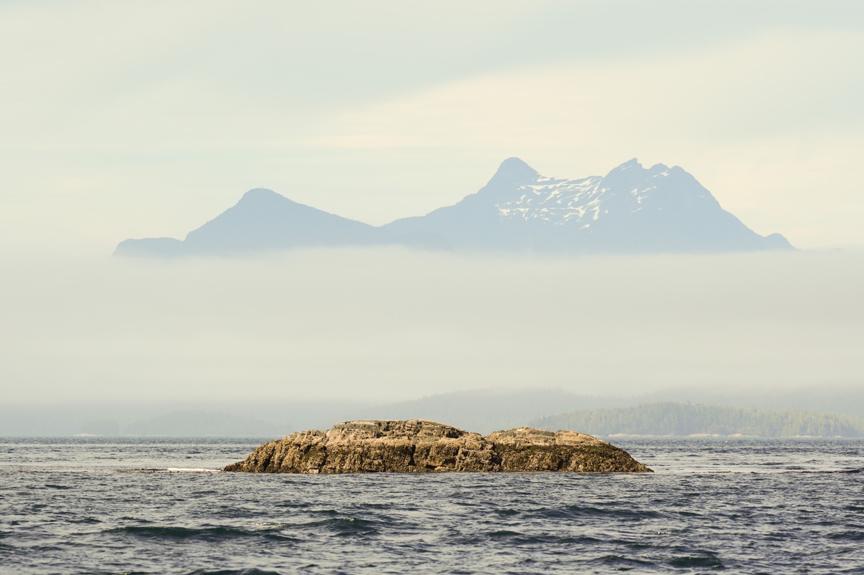 旅居生活攻略,旅居生活最适合的城市