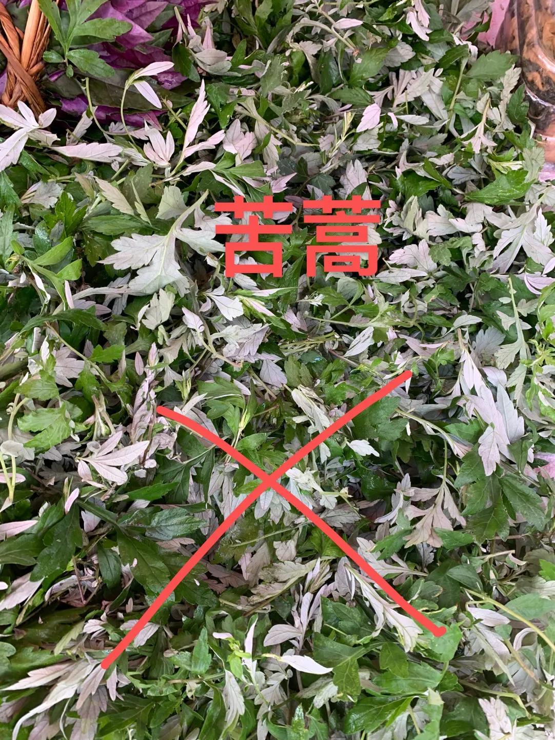 艾草薄荷膏的制作方法,幼儿园自制艾草薄荷膏的简单方法