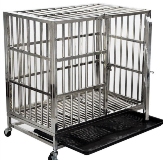 新手养博美必买用品,养博美新手应该用什么狗粮