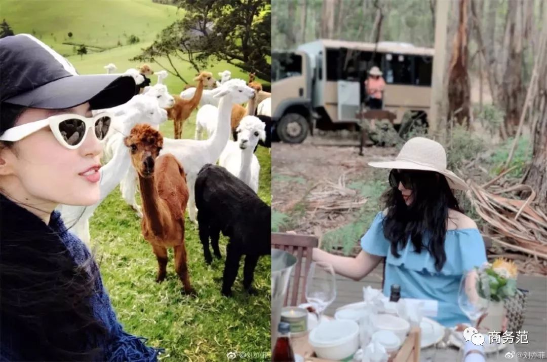 刘亦菲尚美头冠,刘亦菲黑色礼服戴皇冠迪奥