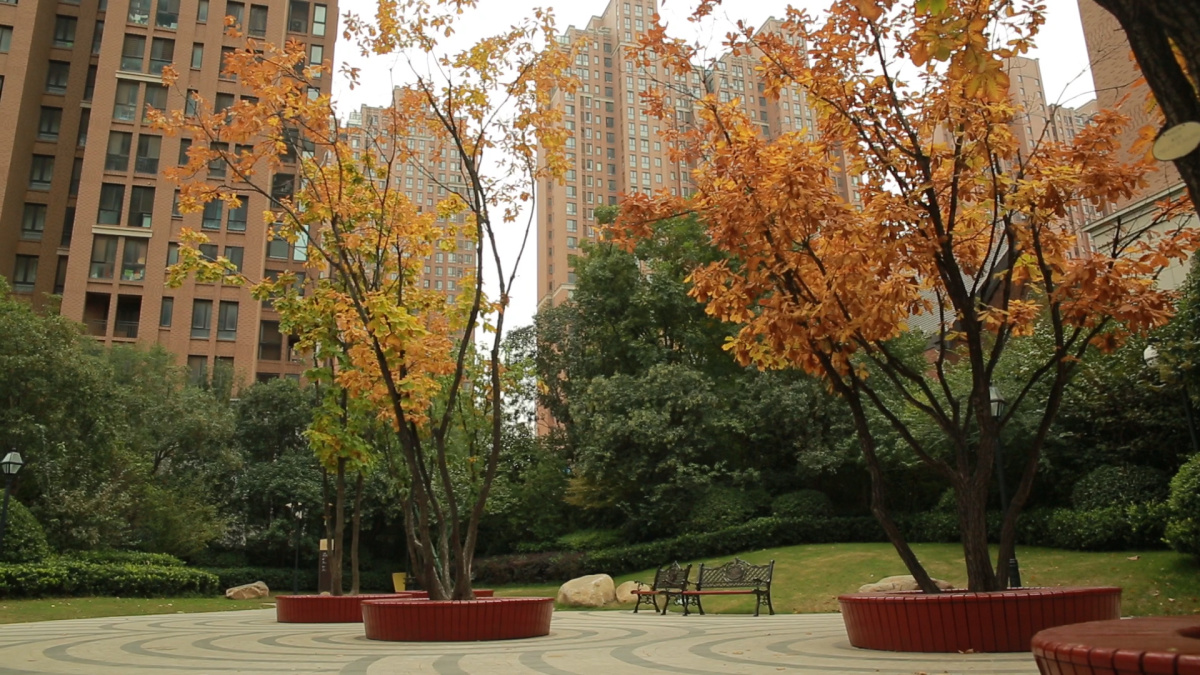 郑州绿化最好的小区,郑州水系景观最好的小区
