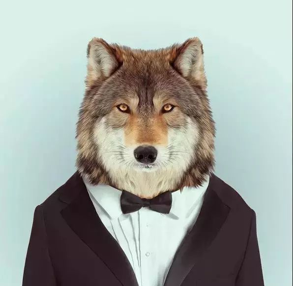 恭喜你！你被通缉啦！企鹅旅行网招人啦！