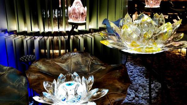 我的海南之旅作文,从海口到三亚感受海南的无限魅力