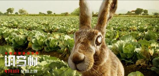 “失明”小伙的渣男之路，多次反转险象环生逆袭人生