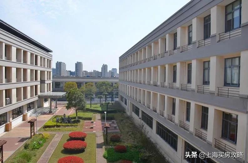 杨超越临港落户,锦鲤杨超越