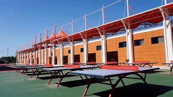 壮丽70年奋斗新时代宣传报道,壮丽七十年奋斗新时代主题采访