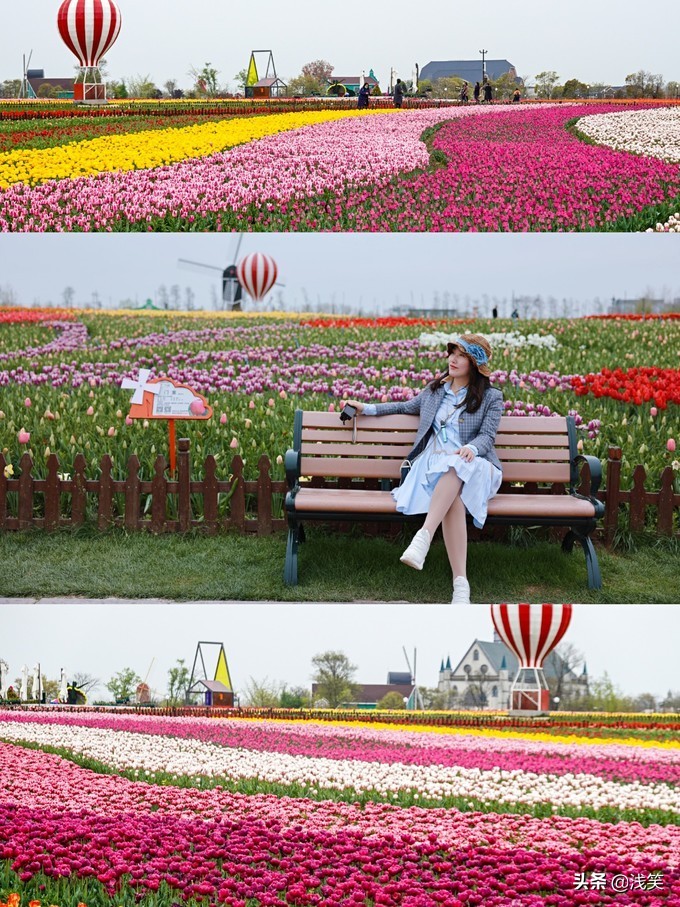 芬芳之人方能遇到芬芳之心，郁金香开成了荷兰花海
