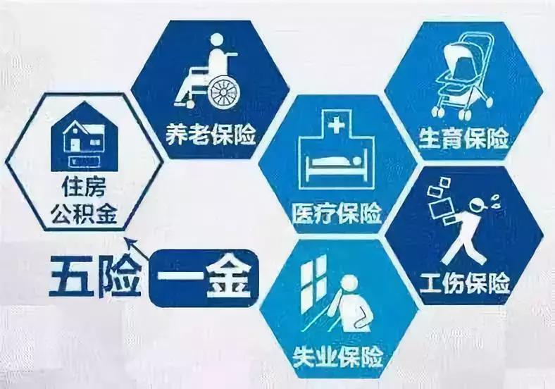 青岛户口缴纳社保落户,青岛2019城镇居民保险缴费标准